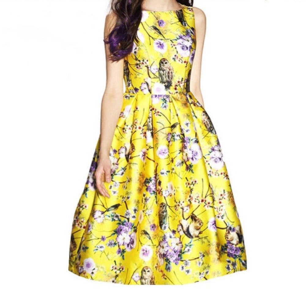 Zara Women’s Yellow Owl Novelty Print Dress